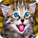 Catistry