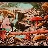 Sonic Armada (film excerpt)