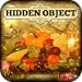 Hidden Object - Autumn Harvest