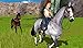 Horses Girl