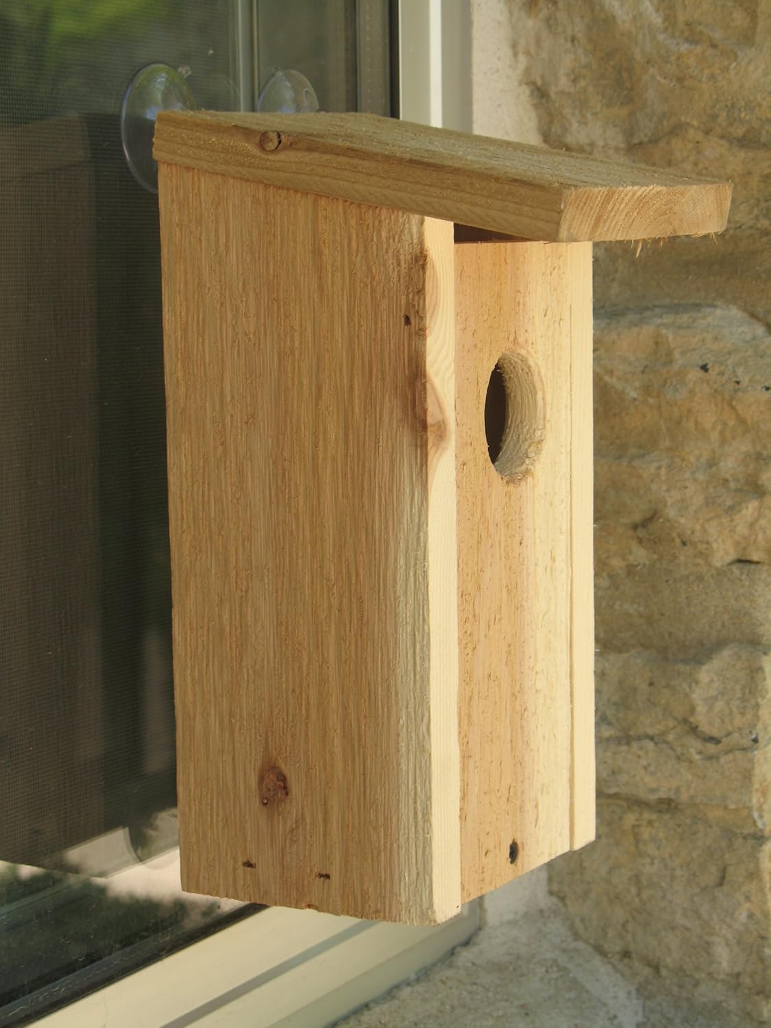 Window Mount Bird House