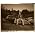 Thumbnail image of Neil Young