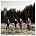 The Twilight Sad - Photo by Nic Shonfeld
