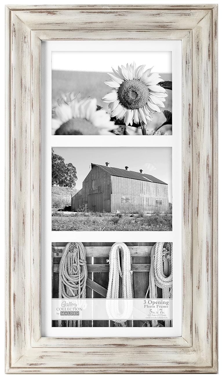 Malden International Designs Whitman White Wash Matted 3 Opening