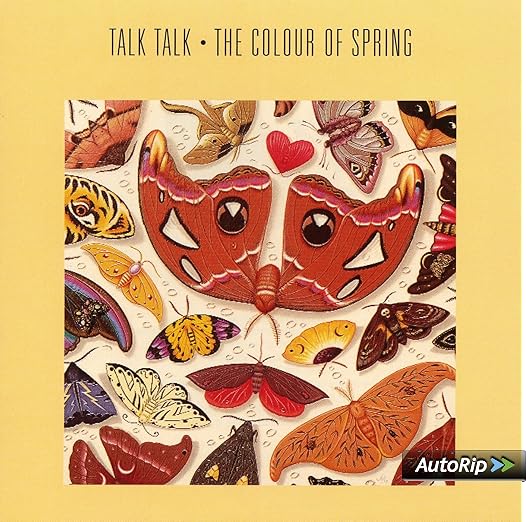 The Colour Of Spring