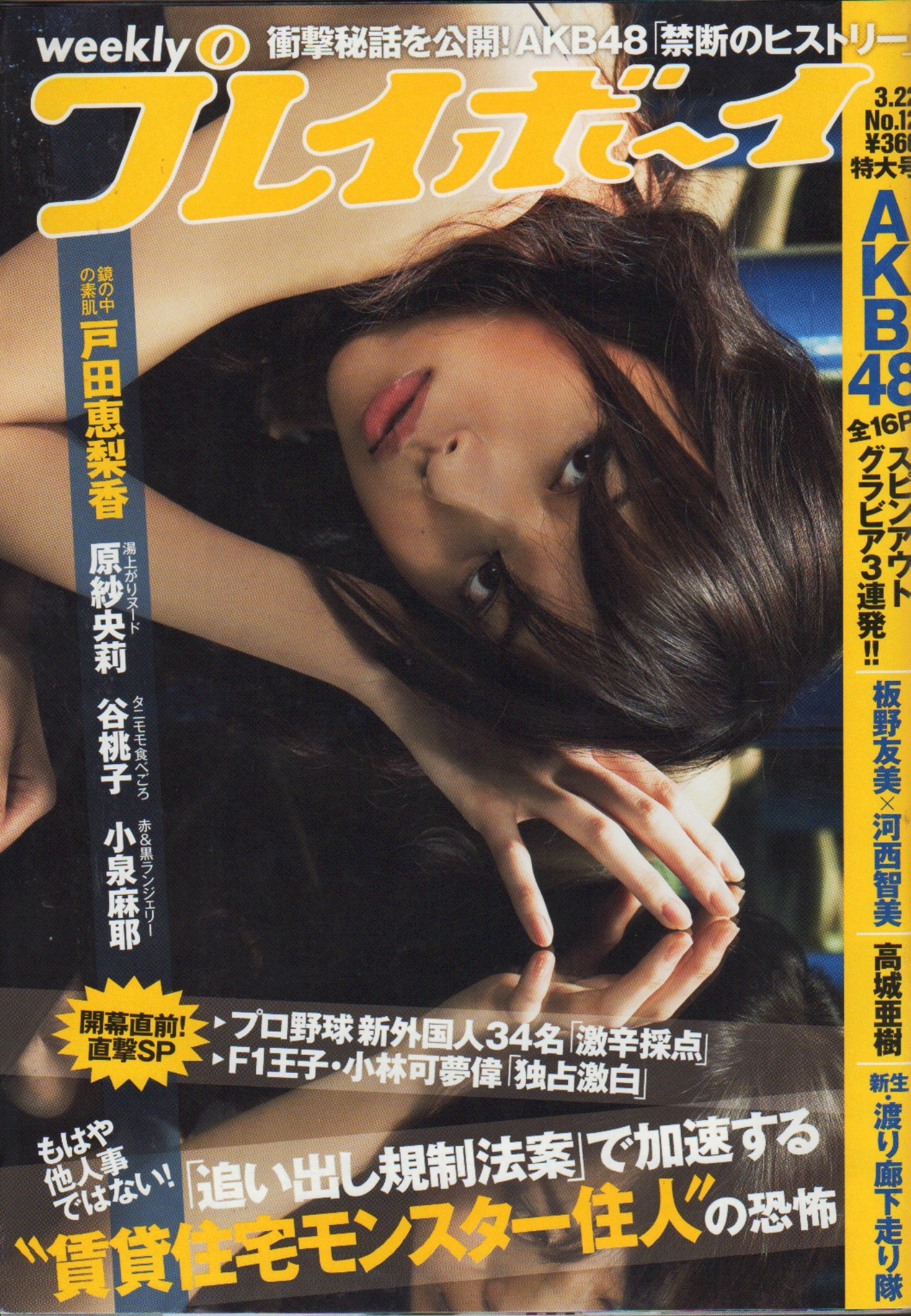 週刊プレイボーイ 2010年3月22日号