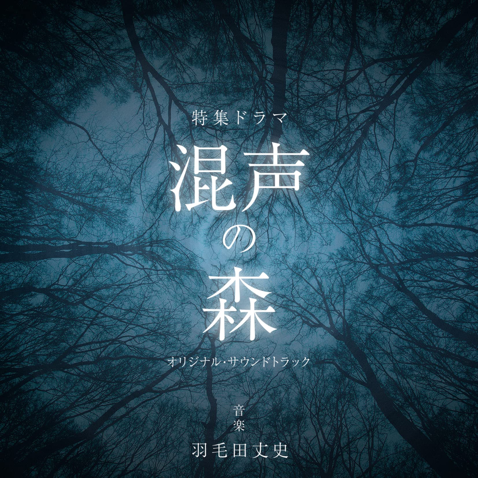 NHK特集ドラマ「混声の森」オリジナルサウンドトラック 羽毛田丈史