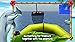 Dolphins of the Caribbean - Adventure of the Pirates Treasure