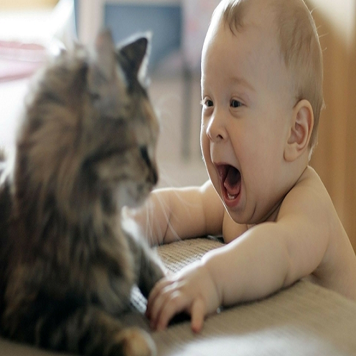 Kids Funny Videos