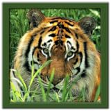 Wild Animals Puzzle: JigSaw ~ Jinner