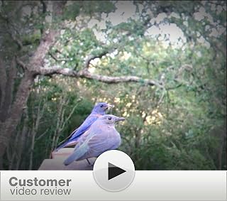 Click to watch this video