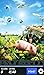 Hidden Object - Spring Babies