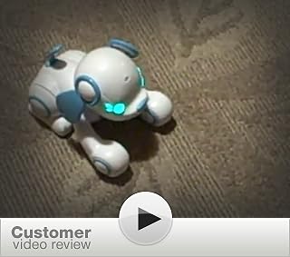 Click to watch this video