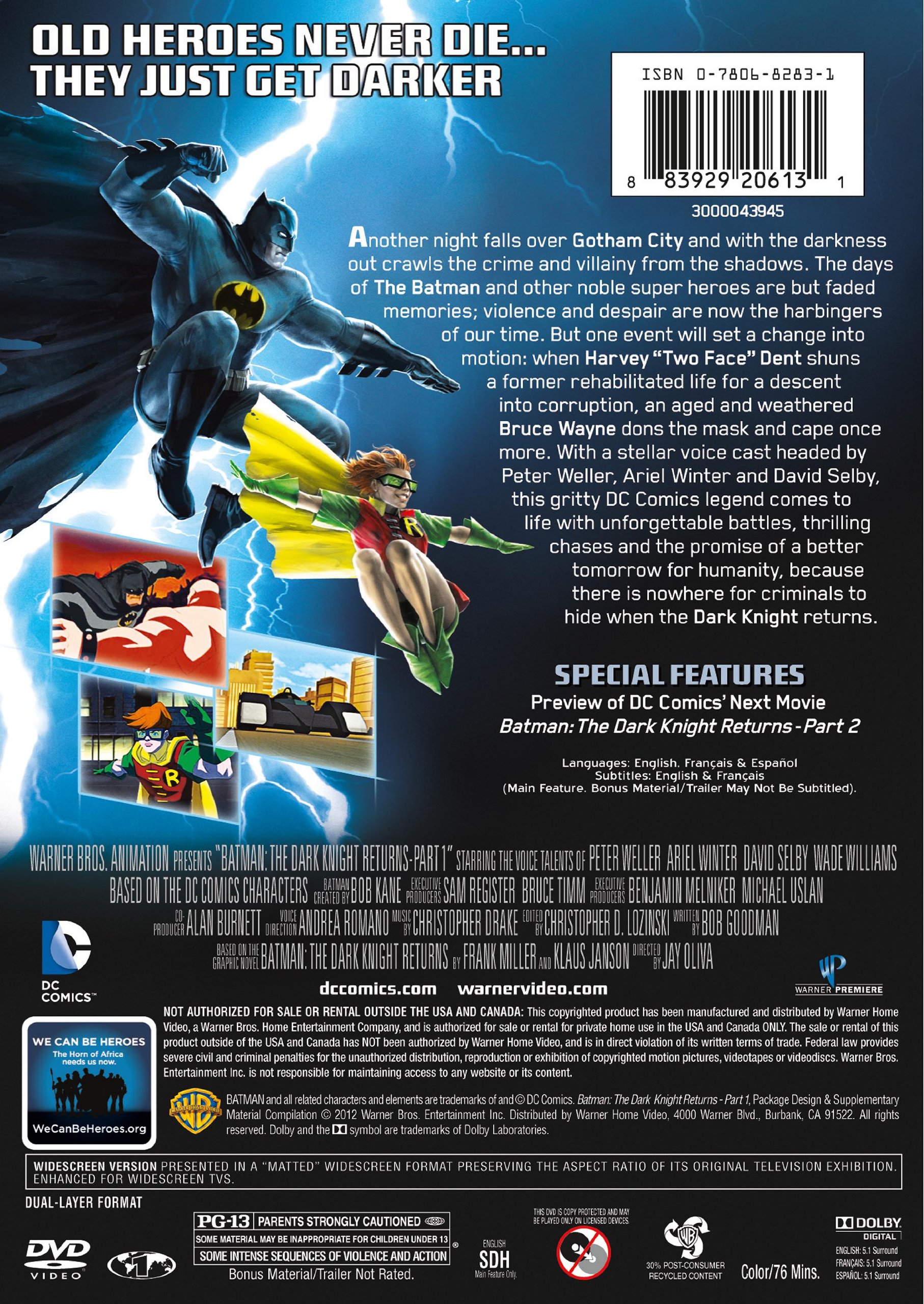 batman the dark knight rmvb