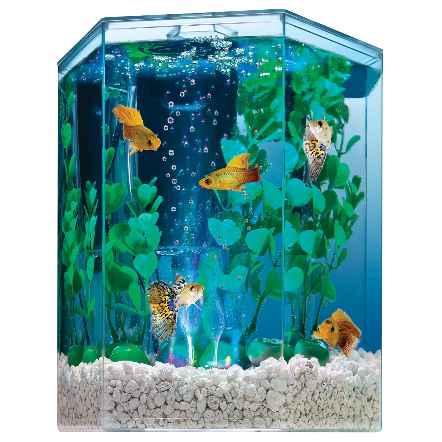 Tetra 29040 Hexagon Aquarium Kit with LED Bubbler, 1Gallon , New, Free
