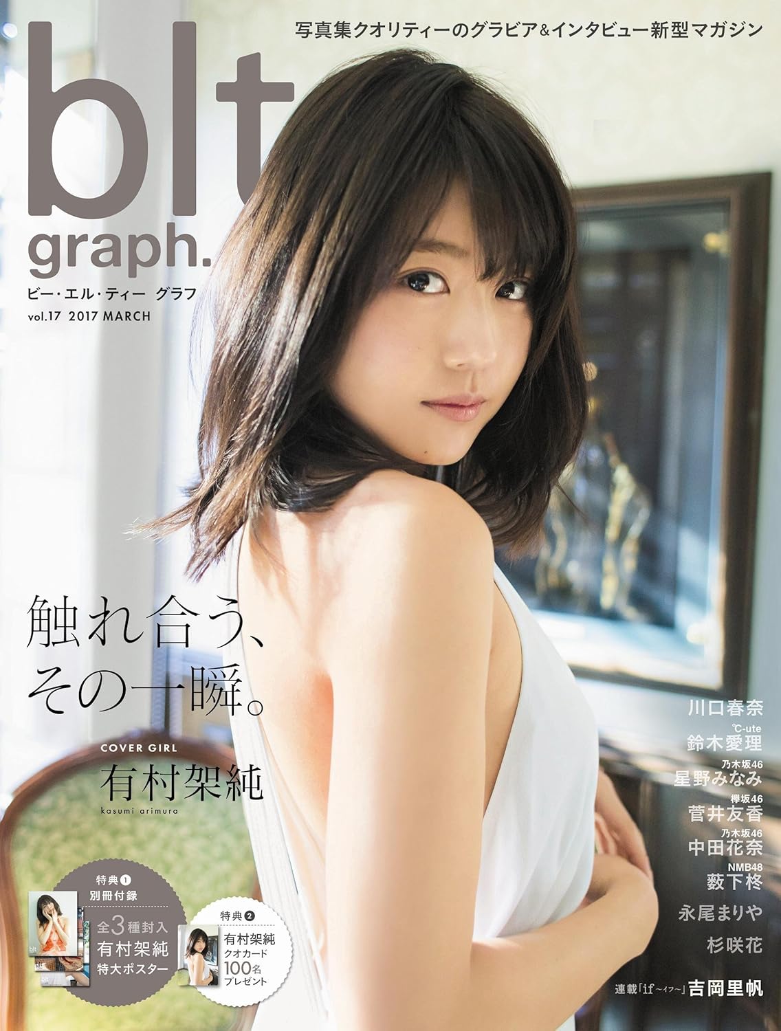 blt graph. vol.17 (TOKYO NEWS MOOK 610号)