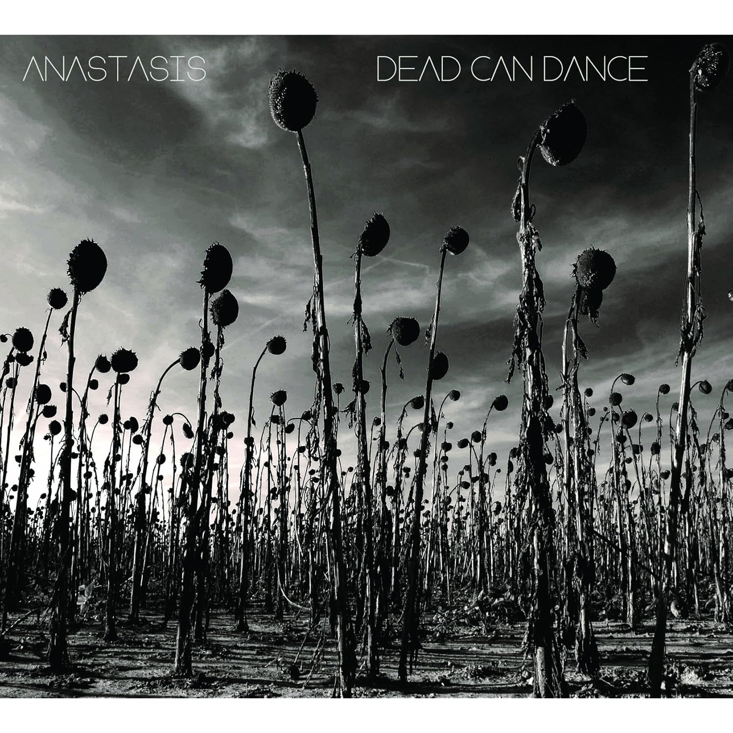 Dead Can Dance - Anastasis