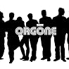 Image of Orgone