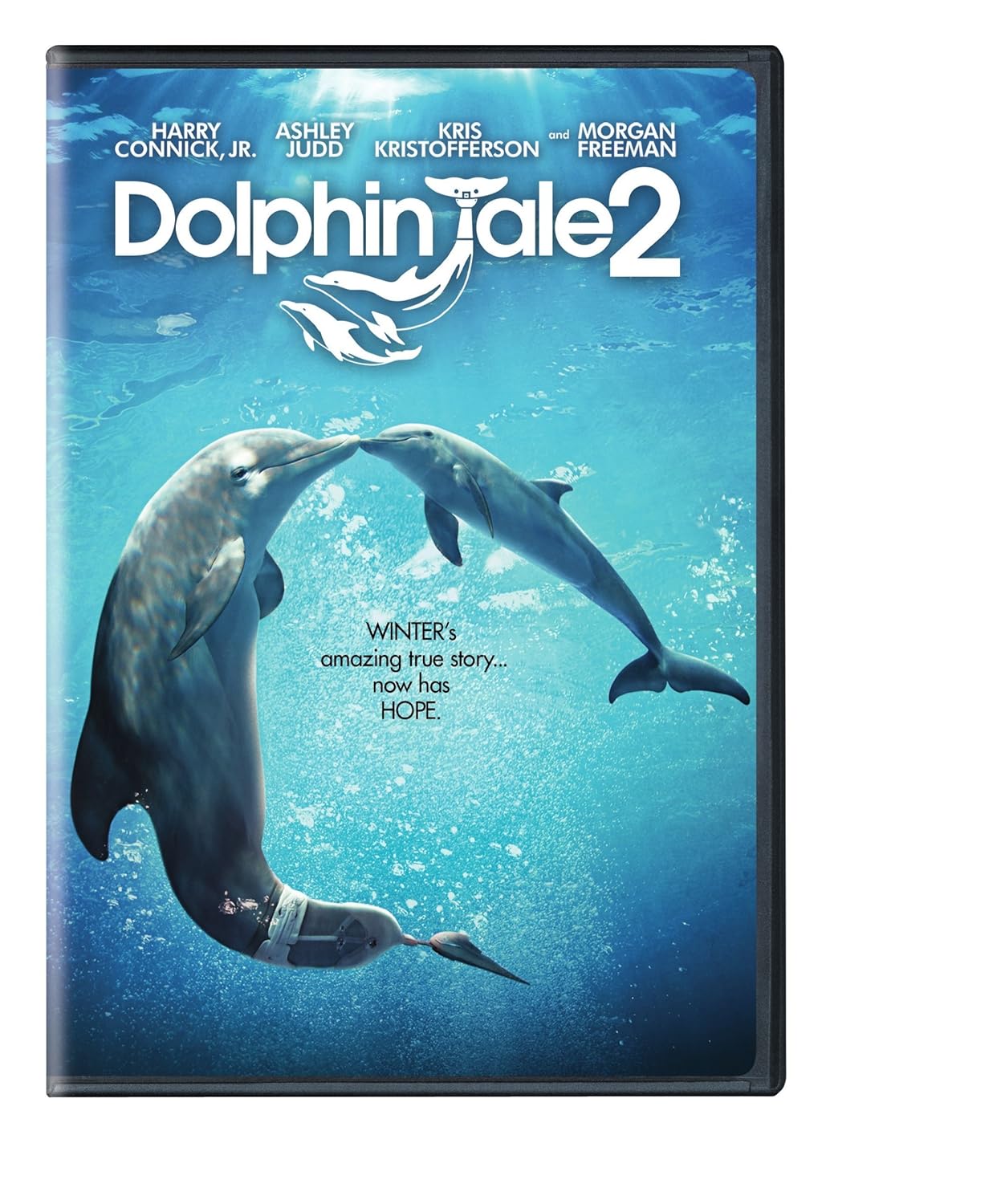 Dolphin Tale 2