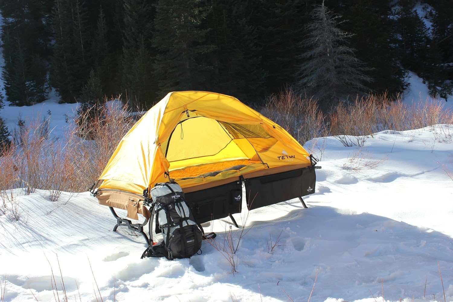 TETON Sports Outfitter XXL Quick Camping CotTop Tent Orange Yellow w