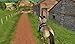 Horses Girl