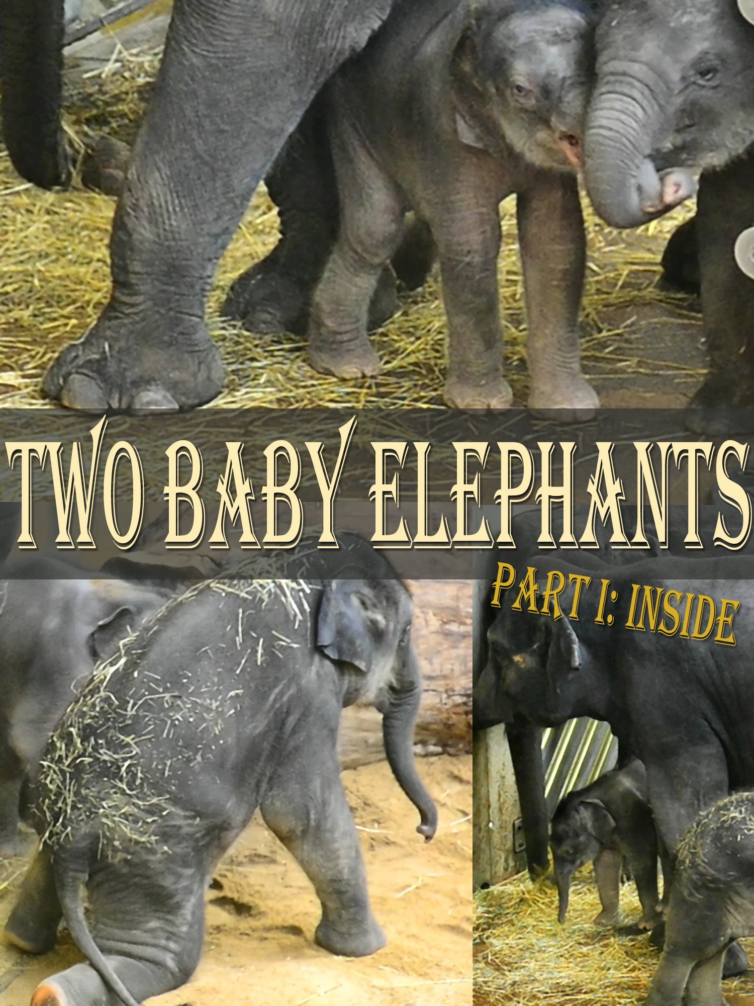 The latest junk additions to Amazon Prime Instant Video UK NewOnAmzPrmeUK