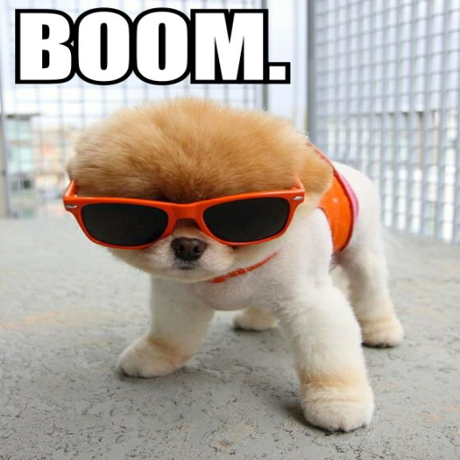 funny pics live wallpapers