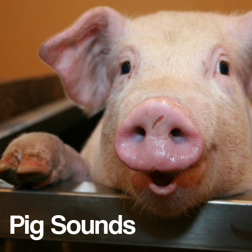 Pig Sounds Amazon.co.uk Appstore for Android