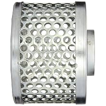 PT Coupling Carbon Steel  Round Hole Pump Suction Strainer, 2"
