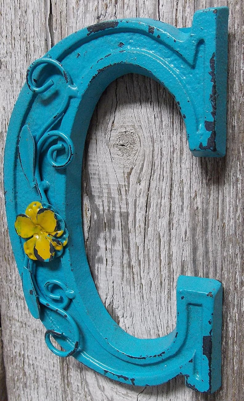 Fun 6" x 4.25" x .5" Cast Iron 3D BLUE Wall LETTER " C " Wall Art