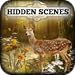 Hidden Scenes - Autumn Harvest