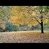Iridescent Morn from the CD Autumn Magic