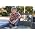 Thumbnail image of Rod Stewart