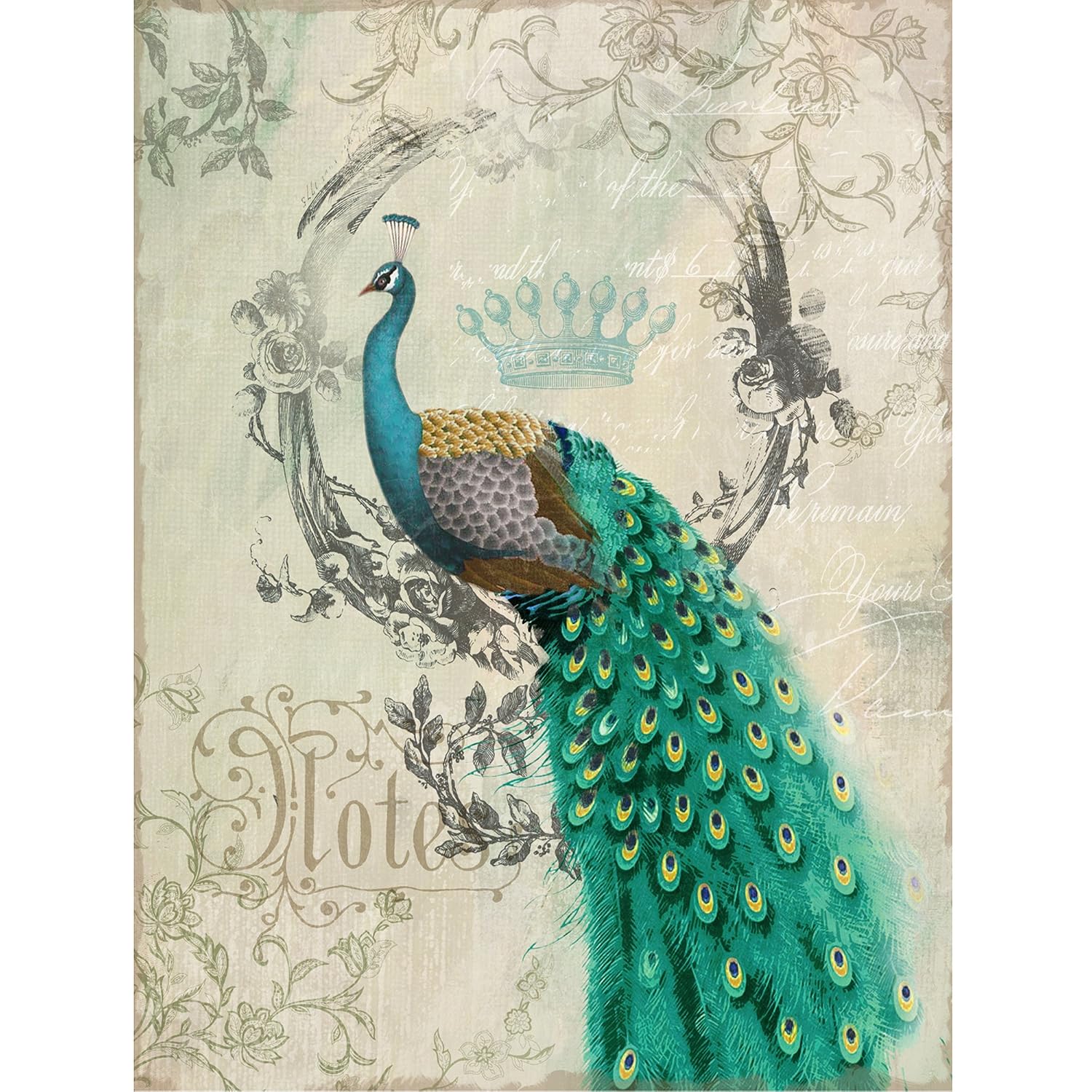 Peacock Themed Bedroom Wall Art: Peacock Poise Elegant Animal Portrait ...