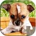 Cute Dog and Puppy Puzzles for Kids - Full version (Freetime Edition) - Fun and Educational Jigsaw Puzzle Game for Kids and Preschool Toddlers, Boys and Girls 2, 3, 4, or 5 Years Old
