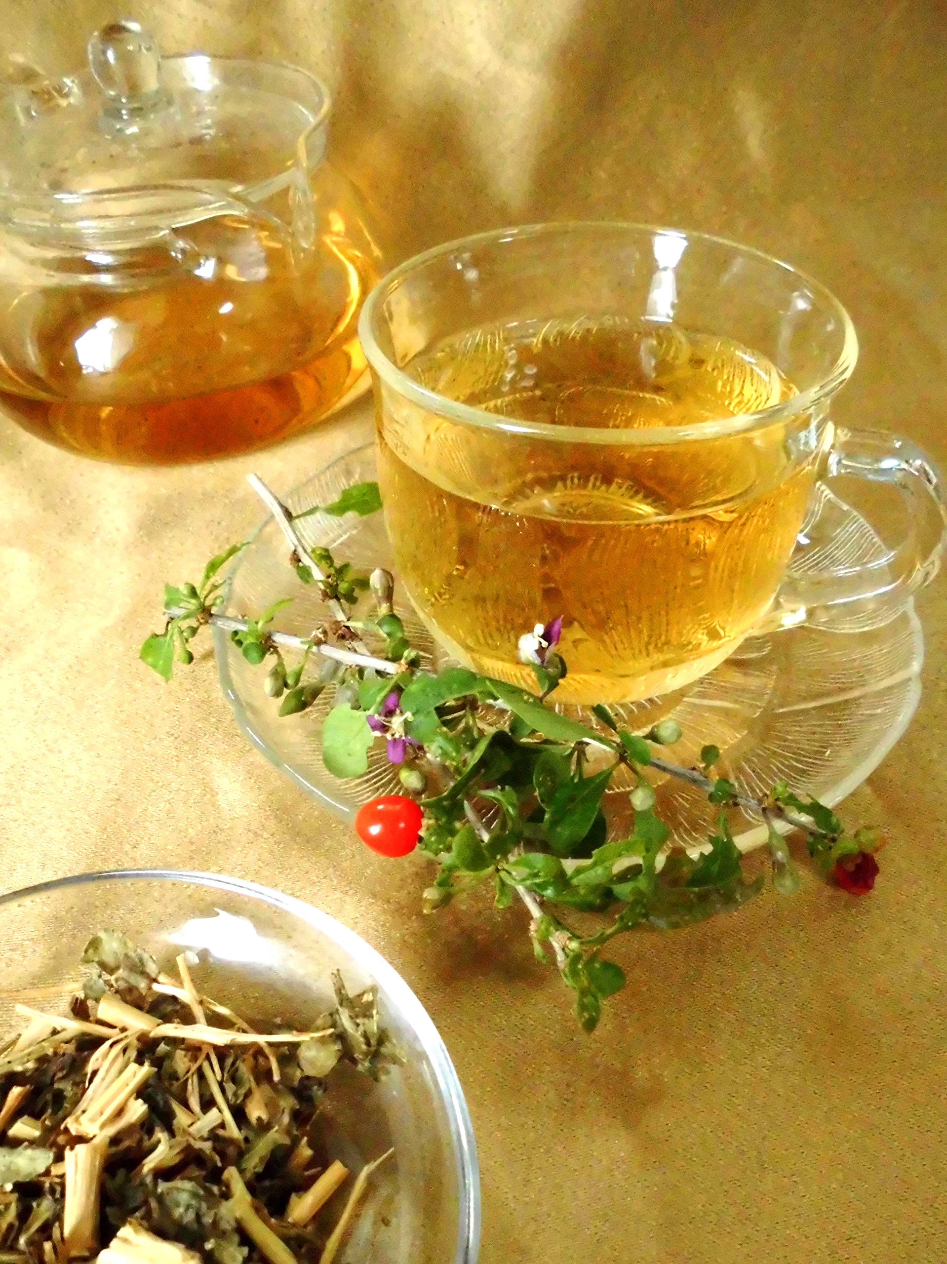 こ叶茶)【7袋×2个【メール便発送】】 枸杞叶