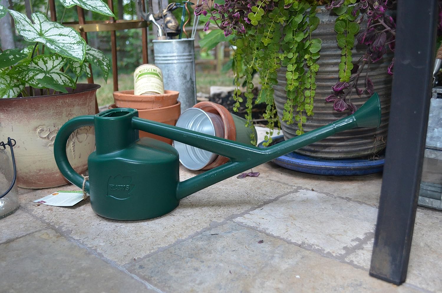 Haws V110 Plastic Outdoor Conservatory Watering Can, 0.6Gallon/2.25