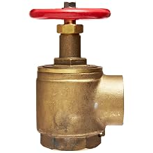Moon 171-2561 Brass Angle Hose Valve, Rising Stem, 2-1/2" FNPT x FNPT