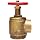 Moon 171-2561 Brass Angle Hose Valve, Rising Stem, 2-1/2" FNPT x FNPT