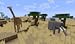 Savanna Craft