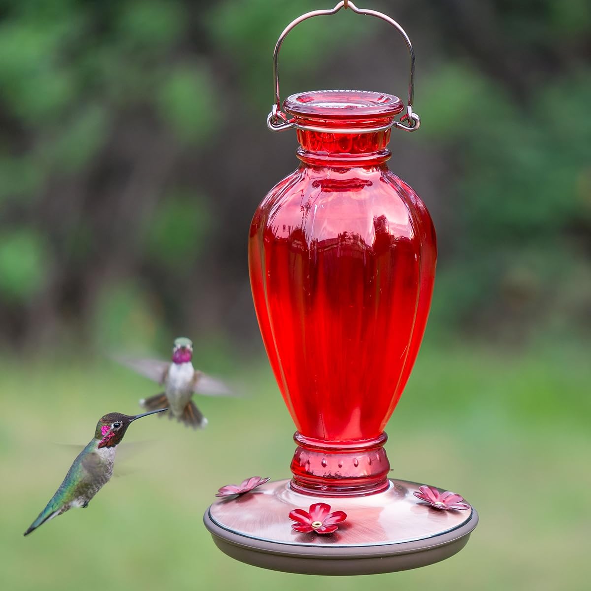 Perky Pet 81332 Daisy Vase Vintage Glass Hummingbird Feeder