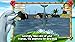 Dolphins of the Caribbean - Adventure of the Pirates Treasure