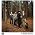 Thumbnail image of Alabama Shakes