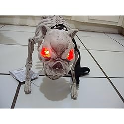 outdoor halloween skeleton animals