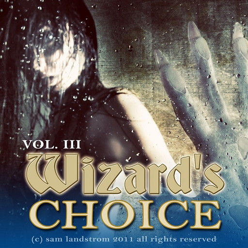 Wizard's Choice Volume 3