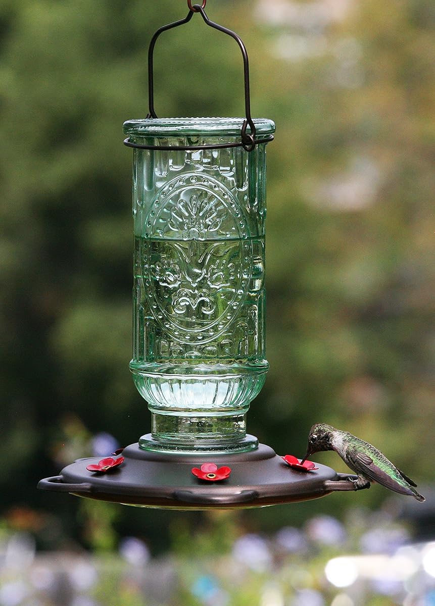 More Birds Hummingbird Feeder, Vintage Antique Glass Bottle Hummingbird