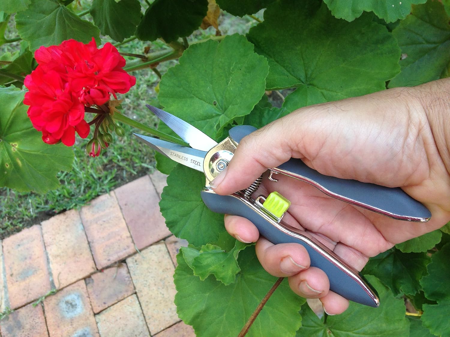 Garden Pruning Pruner Shears Stainless Steel Blade Cutting Flowers