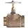 Dixon SGV250F Brass Globe Valve, 2-1/2" NPT Female x NST Male