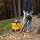 Shop-Vac 9633400 6.5-Peak HP Ultra Pro Series 12-Gallon Wet or Dry Vacuum with Detachable Blower