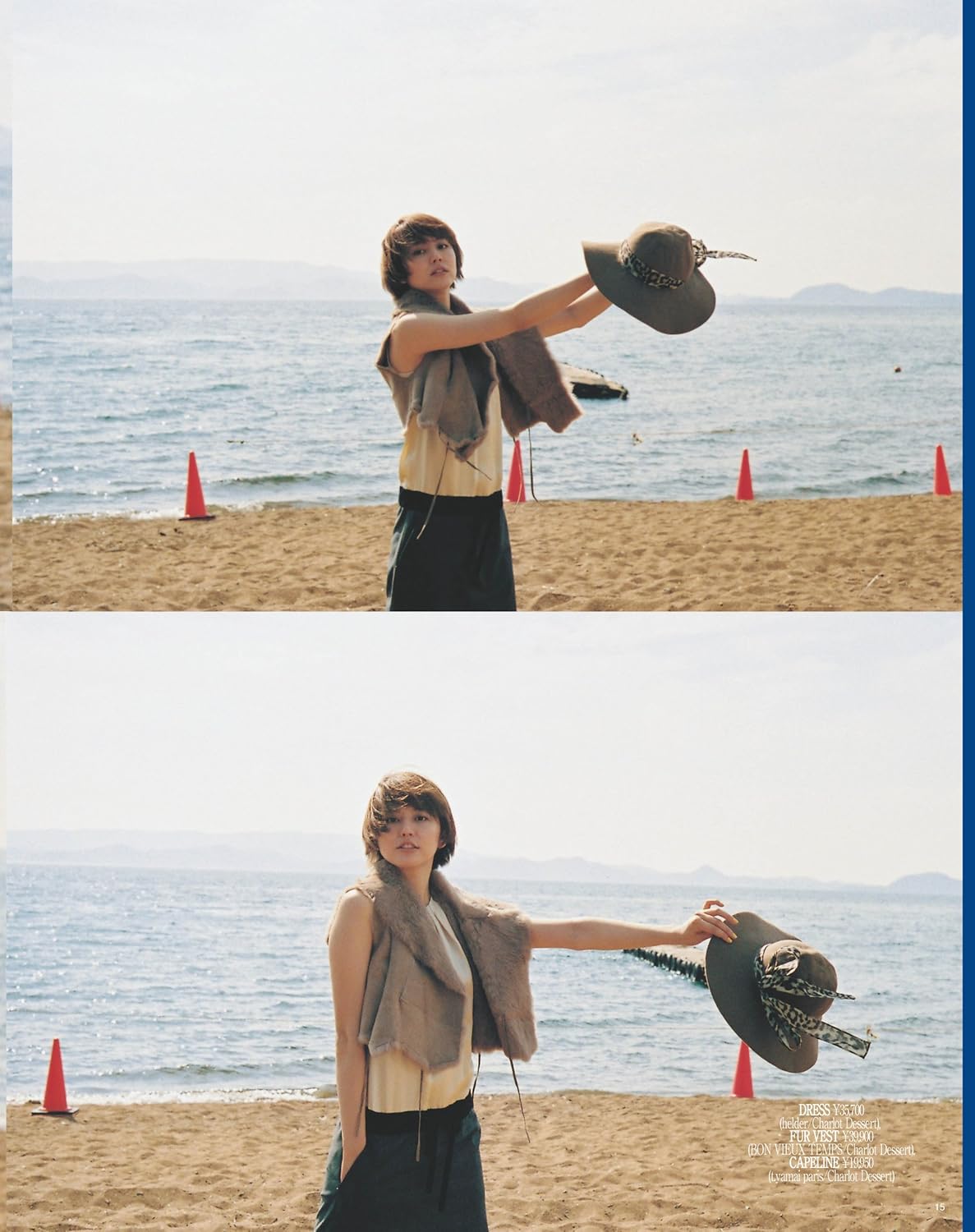 SWAK 2012-1月号 ([テキスト])